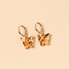 Fashionable brand small design earrings, trend advanced set, simple and elegant design