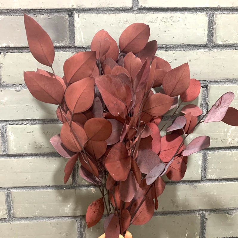 微信图片_20200629164935