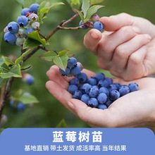 {ݮԵͥԺ̨Nֲļ׻Y{ݮNӘ