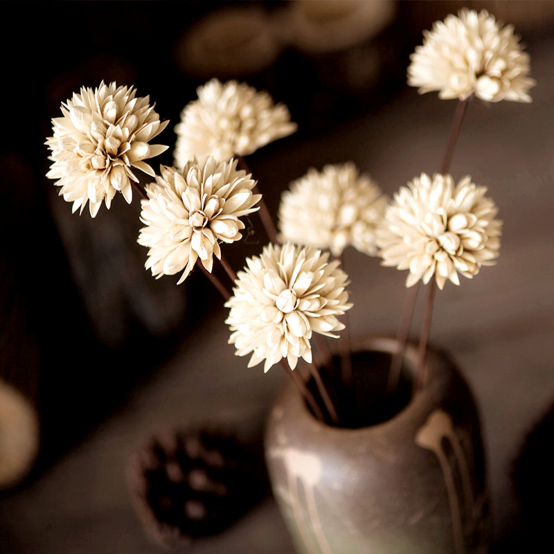 厂家直售玉兰花球干花摆件复古创意永生花摄影家居花艺整支手工花