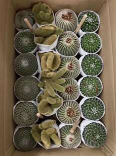 ����ֱ�N���������� �Ӽһ��ܾGֲ����  �S�C���b��ɫ��