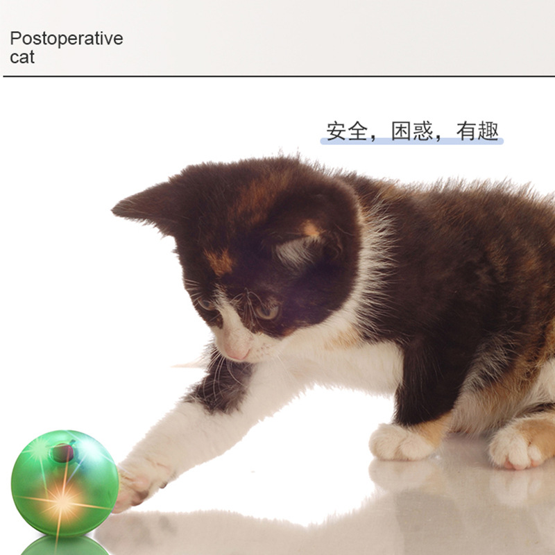 亚马逊新款宠物电动猫玩具发光发声自动逗猫球 猫咪互动玩具