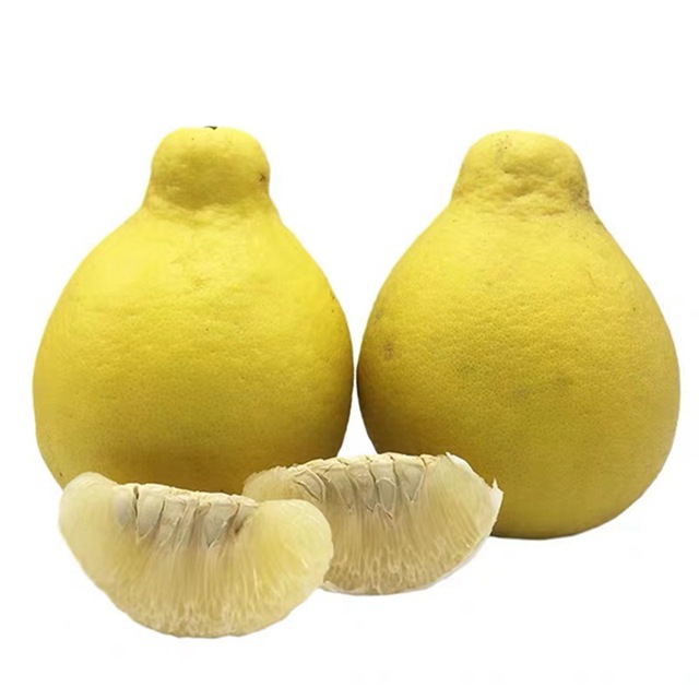 Shunfeng express Guangdong Meizhou Pomelo 2/3 Guangdong Deliver goods One piece On behalf of