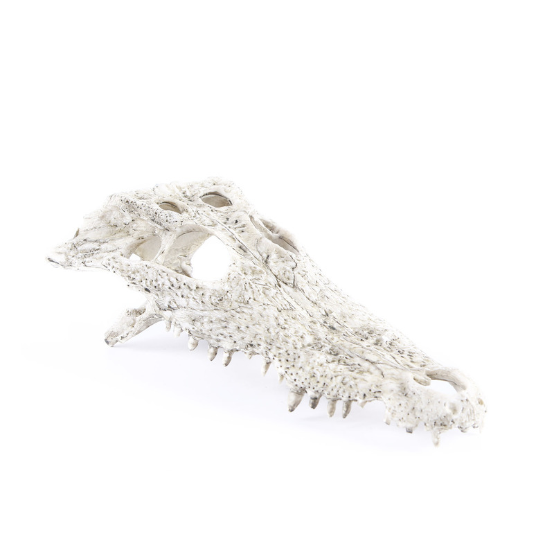 Aquarium Fish Tank Ornaments Water Grass Landscape Dinosaur Crocodile Skull Sheep Skull Resin Crafts Pet Aquarium Fish Tank Ornaments Water Grass Landscape Dinosaur Crocodile Skull Sheep Skull Resin Crafts Pet
