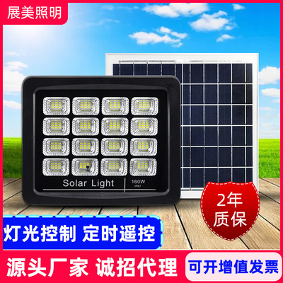 Solar Lights outdoors Courtyard Countryside household indoor lighting Timing remote control Induction Cast light outdoor street lamp