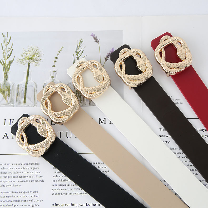 Classic Style Snake Pu Leather Alloy Plating Women's Leather Belts display picture 1