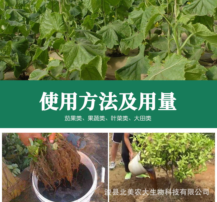 蘸根移栽无线虫详情_08.jpg