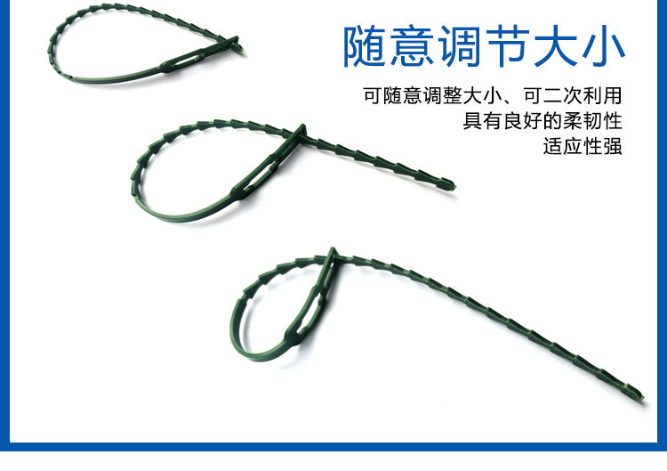 鱼骨刺_03.jpg