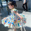 Skirt, dress, small princess costume, summer clothing, for 3-8 years old