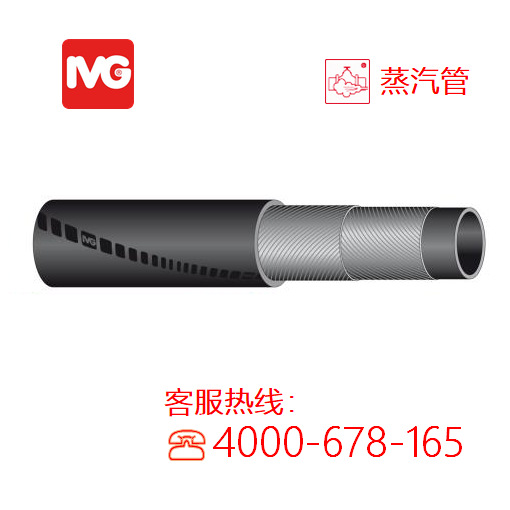IVG蒸汽管意大利进口IVG耐高温高压Vapofer EN 6134