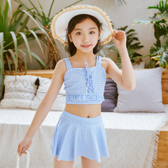 Children's swimsuit for girls, princess style, for toddlers and young children aged 2-12, including medium and large sizes, for girls taking hot springs, separate swimwear, wholesale.