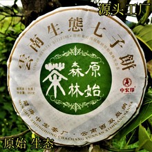 易武喬木普洱茶 雲南生茶餅  357克原始森林生態茶葉源產地大貨