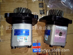 HCHC 合肥长源液齿轮油泵CBWFTA-E320-T1FPL