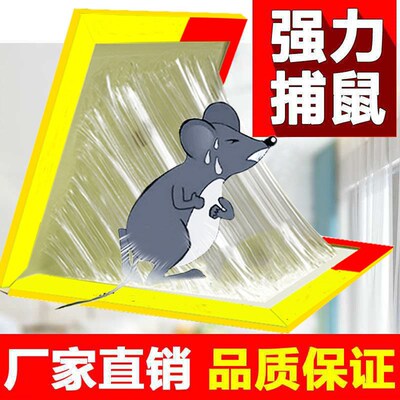 Strength Mouse stickers Sticky mouse board household Catch squirrel Pest Repeller Rodent control Rat cages Rat glue Mousetrap