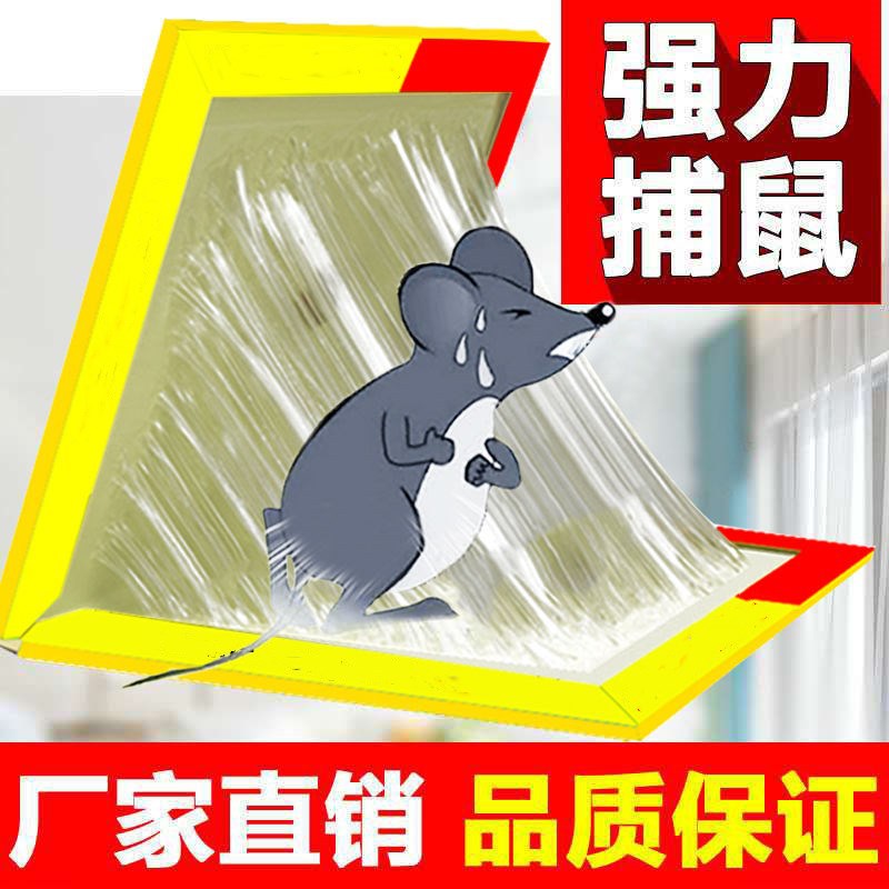Strength Mouse stickers Sticky mouse board household Catch squirrel Pest Repeller Rodent control Rat cages Rat glue Mousetrap