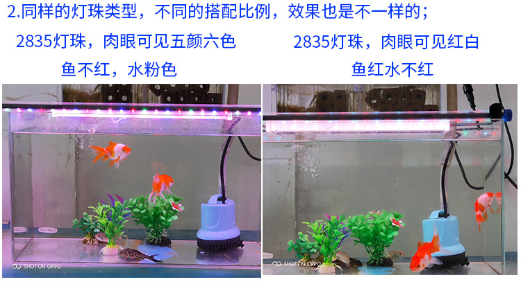 阿里鱼缸灯2020820_32.jpg