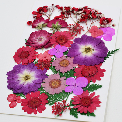 干花材料包压花混合植物真花DIY滴胶手机壳押花手工材料写真拍照|ms