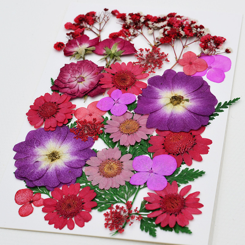 干花材料包压花混合植物真花DIY滴胶手机壳押花手工材料写真拍照|ms