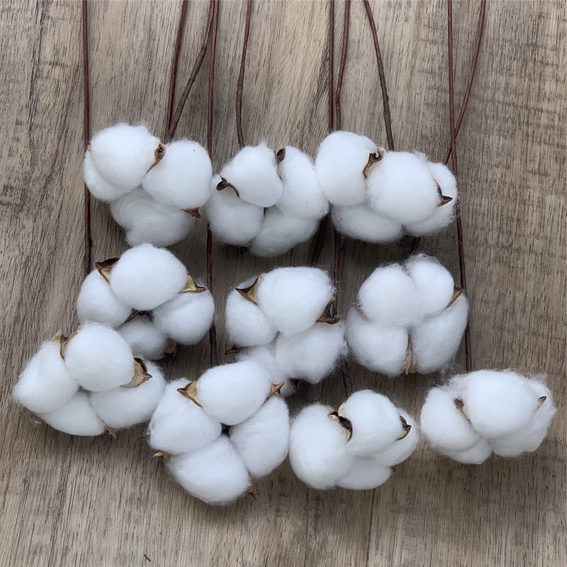 Eternal cotton simulation single -branch kapok beam dry flower home…
