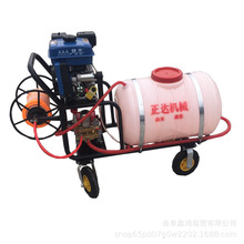 �ƿ܇�Ɏ����F�� �r���R�����ș�C ����늙C���F��