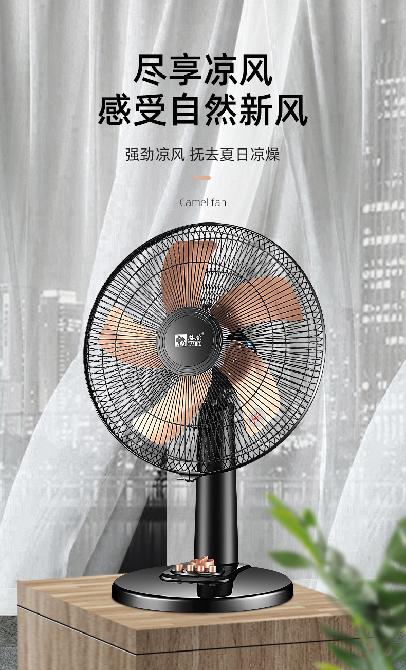 風扇_01