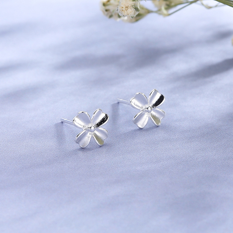 Boucles d oreilles en argent - Ref 3446933 Image 6