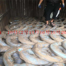 铁线18号扎丝绑丝 切断丝镀锌铁丝16# 白铁线热镀锌丝 镀锌扎丝