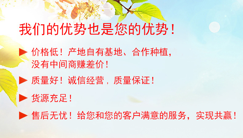 Peach Gum Snow Swallow Soap Nut Rice White Fungus Soup Pack with Red Dates and Goji Berries 50g overview