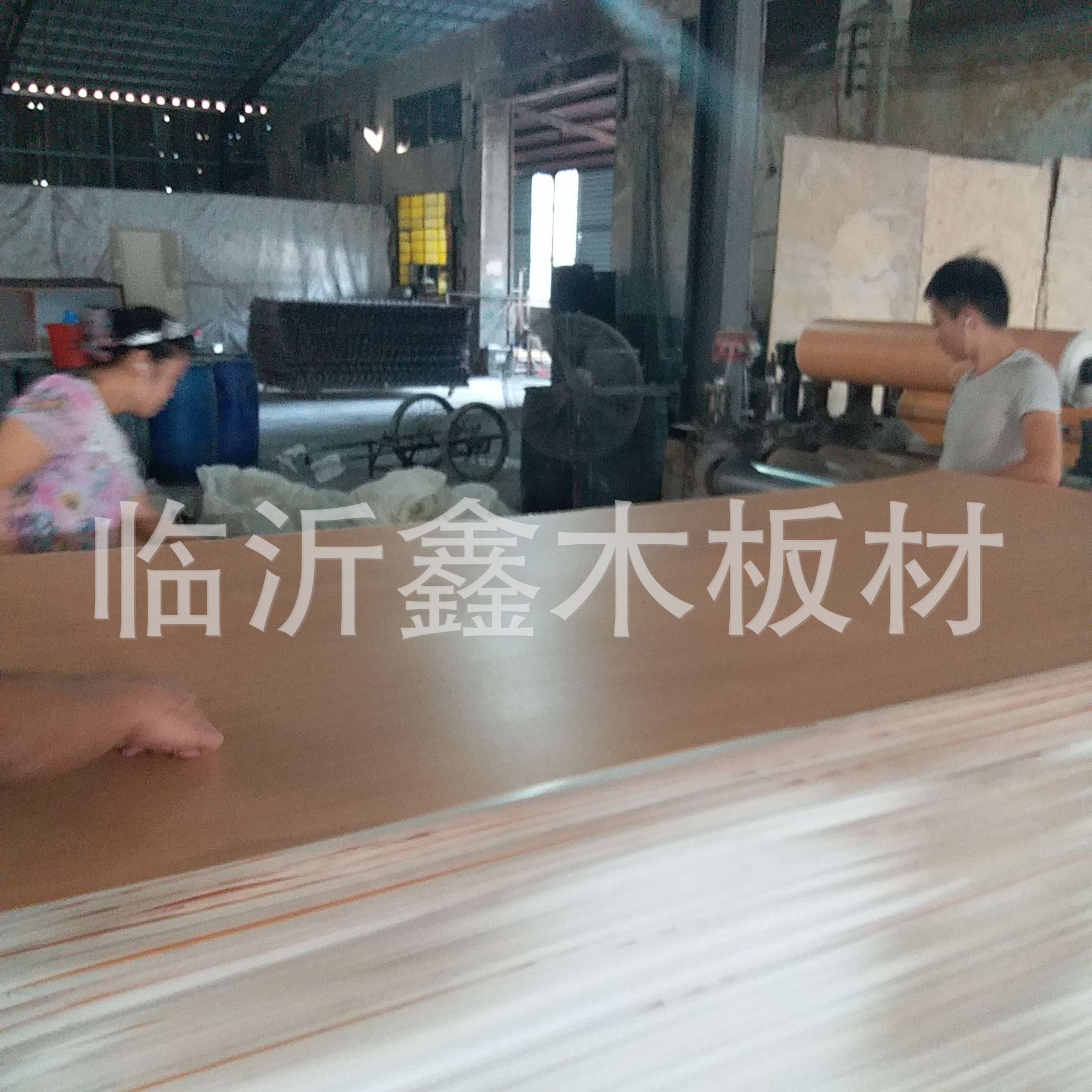 PVC贴面桉木芯胶合板