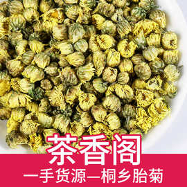 桐乡胎菊批发花草茶菊花茶头采花蕾江苏胎菊王承接大货北京菊