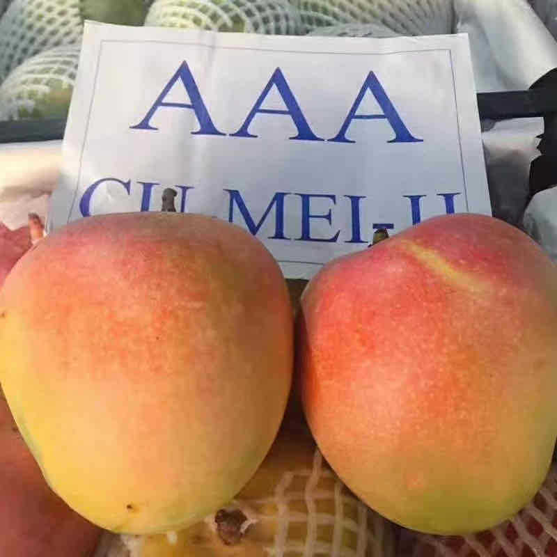 越南澳芒果肉丝滑香甜5斤装现货供应新鲜水果一件代发|ru