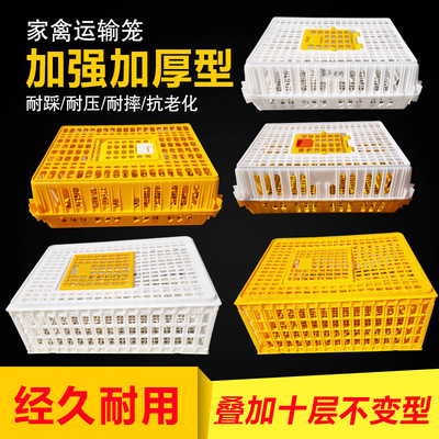 Chicken coop turnover box A chicken Turnover basket Large Transport cage Plastic thickening Colombard Compression