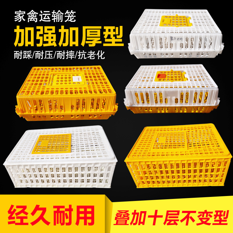 Chicken coop turnover box A chicken Turnover basket Large Transport cage Plastic thickening Colombard Compression