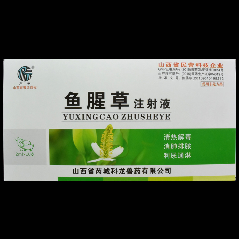 獸藥魚腥草注射液清熱解毒消腫排膿利尿通淋寵物貓狗犬豬馬牛羊