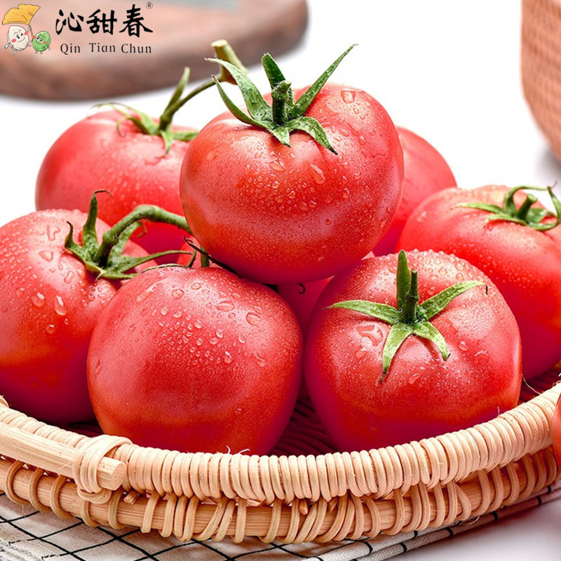 [Sweet spring]Provence Tomatoes Fresh vegetables 5 natural Good one tomato Persimmon