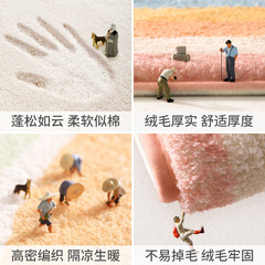 Modern household sherpa bedroom strip carpet floor mat simple living room sofa non-slip mat room bedside blanket