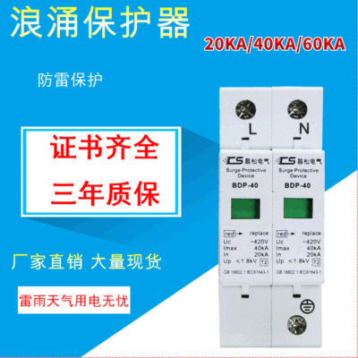 浪涌保护器2p 20KA 电涌避雷器  电源防雷器2p20ka 电涌spd保护