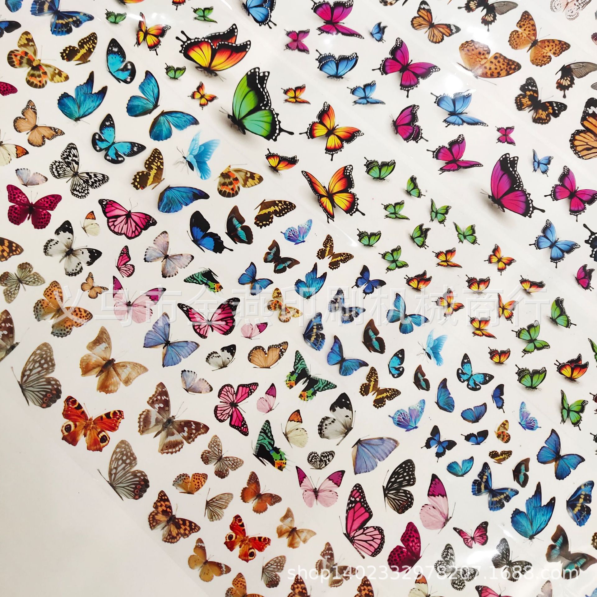 8102#经典蝴蝶十款 (15).jpg