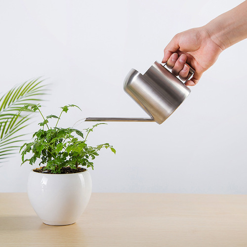 Stainless steel shower kettle long mouth metal gardening green plant succulent watering kettle small children mini watering kettle 300ML