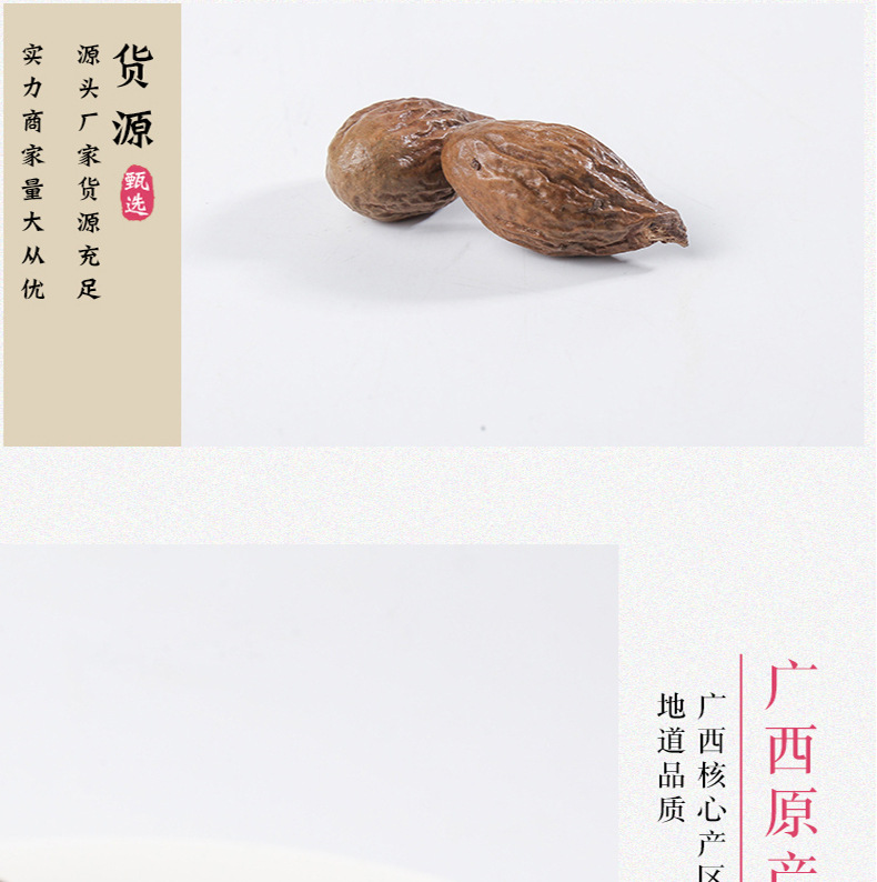 Fat Sea Seed Pang Da Hai Dried Herbal Tea Bulk 500g New Crop Guangxi key features