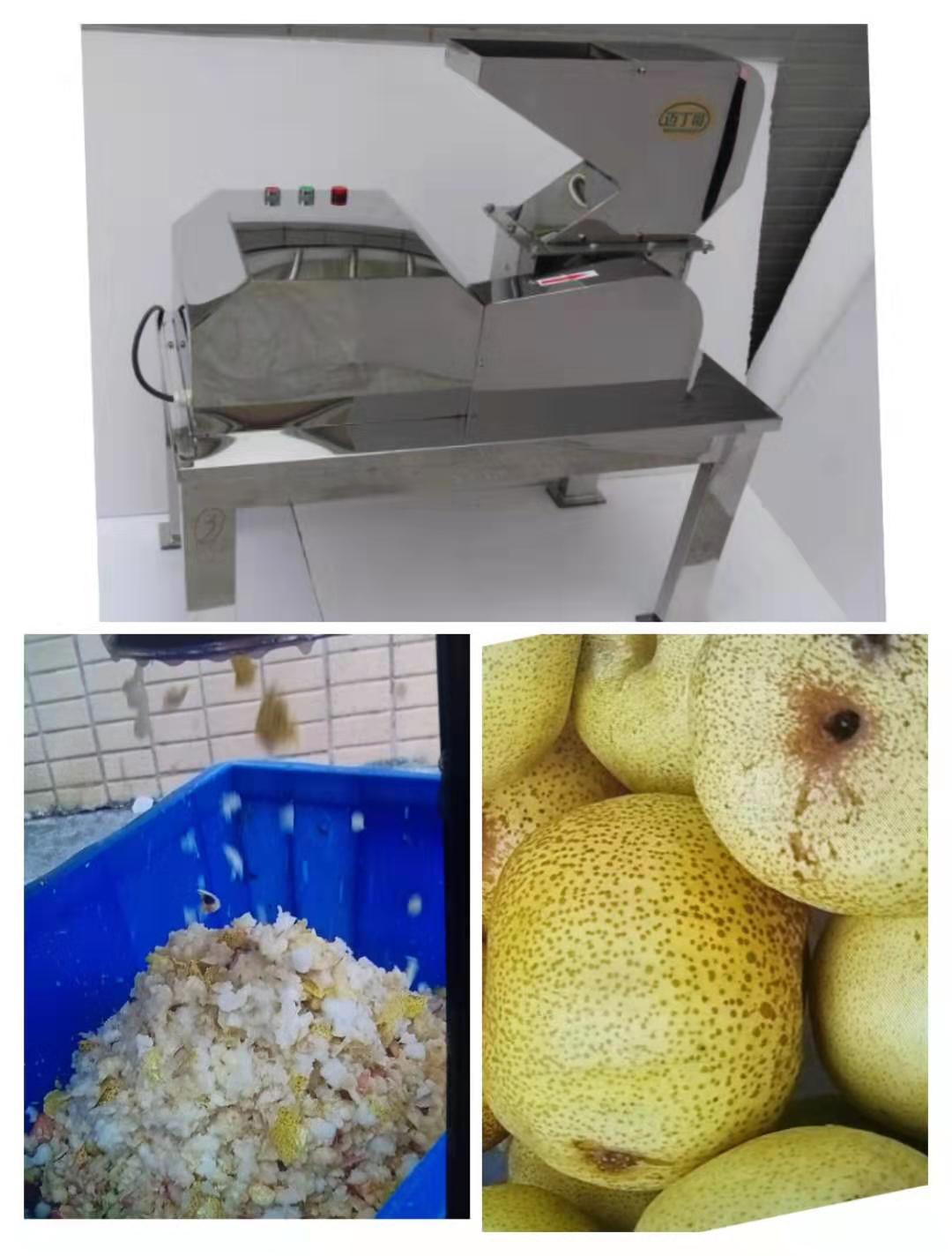 迈丁哥工厂用红薯地瓜打碎机芹菜菠菜西蓝花捣碎打烂柠檬破碎机