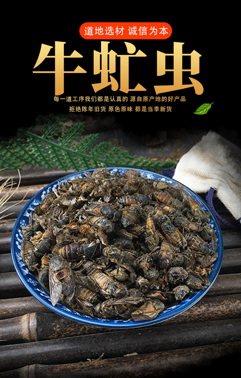 Dried Gadfly Niu Meng Chong Whole Insect Traditional Chinese Herb Bulk 500g key features