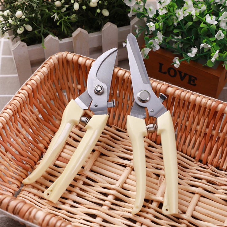 不锈钢树枝修枝剪采摘水果花木剪园林果树花卉枝嫁接园艺剪刀工具