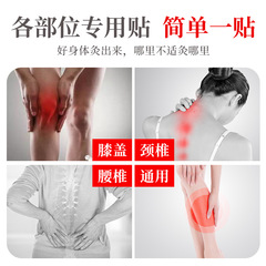 Renhe Mugwort Knee & Cervical Spine Patches – Premium Quality, Specifically Designed for Shoulder and Neck Areas, with Added Benefits of Ginger-Infused, Heat-Generating Lumbar Support Patches