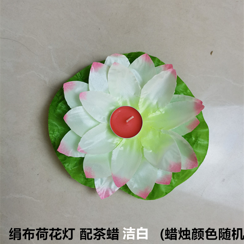 荷花灯 洁白