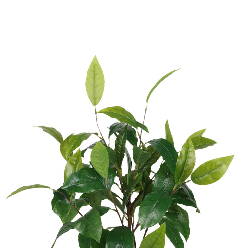 XRS-028 盆栽丹桂叶69叶0.65米5.jpg