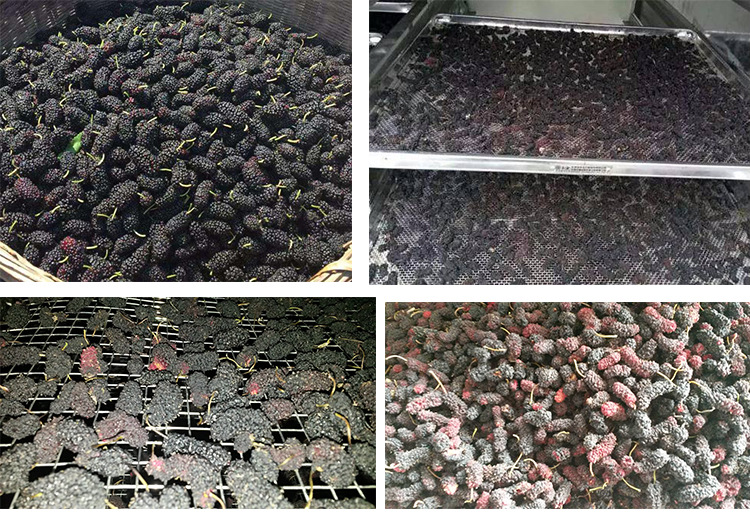 С��ɣ�غ�ɻ� ͨ�缴��һ��ʽ�ⰲװ��ɳ�ʪһ�� �������ɻ�