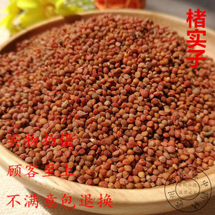 �Ҍ���500���Ҍ����������������������Ҙ����������