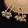 Earrings from pearl, fresh accessory, pendant, internet celebrity, 2022 collection, Japanese and Korean