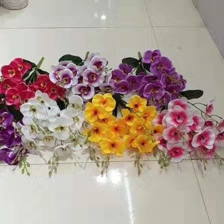 WeChat 圖片_20200704105438